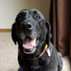 Meet your Posher, Jenniferjp79